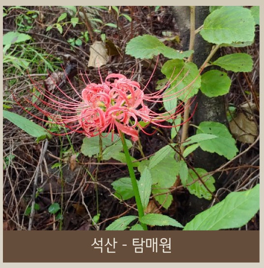 화담숲 화담채 예약 관련 이미지