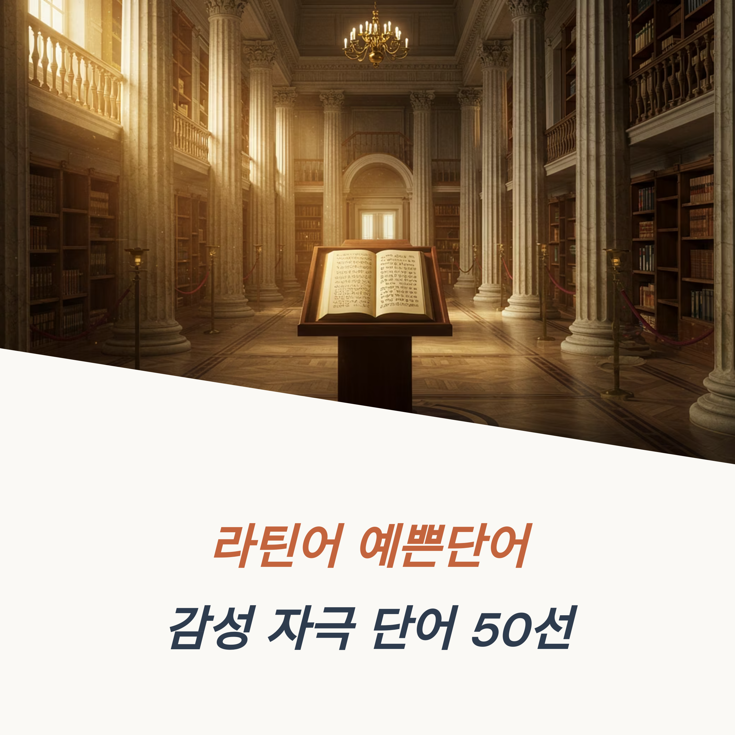 라틴어 예쁜단어 감성 자극 단어 50선