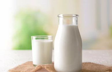 강아지와 우유/출처:어도비스톡