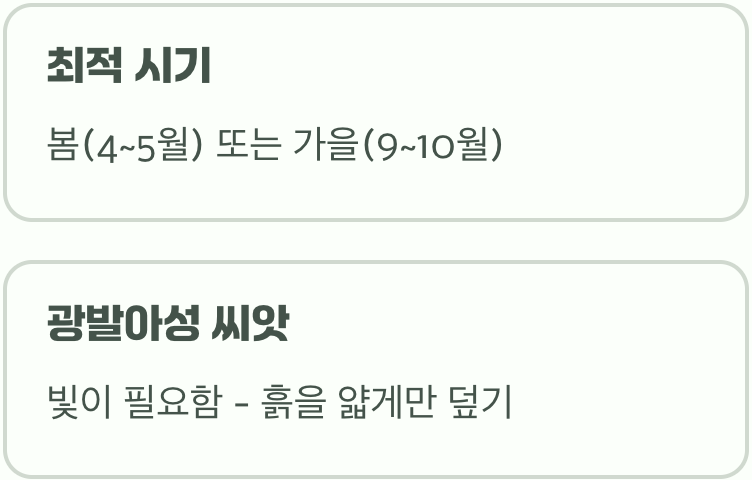 씨앗의 첫 숨결, 파종의 비밀