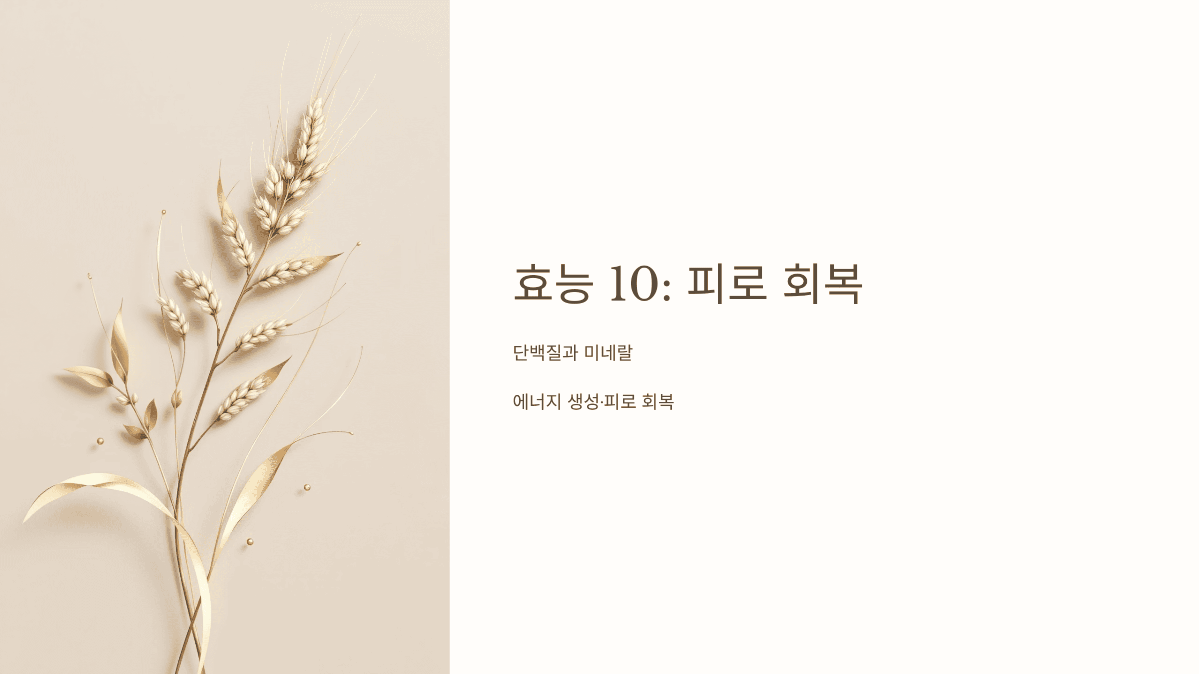 좁쌀 사진입니다.