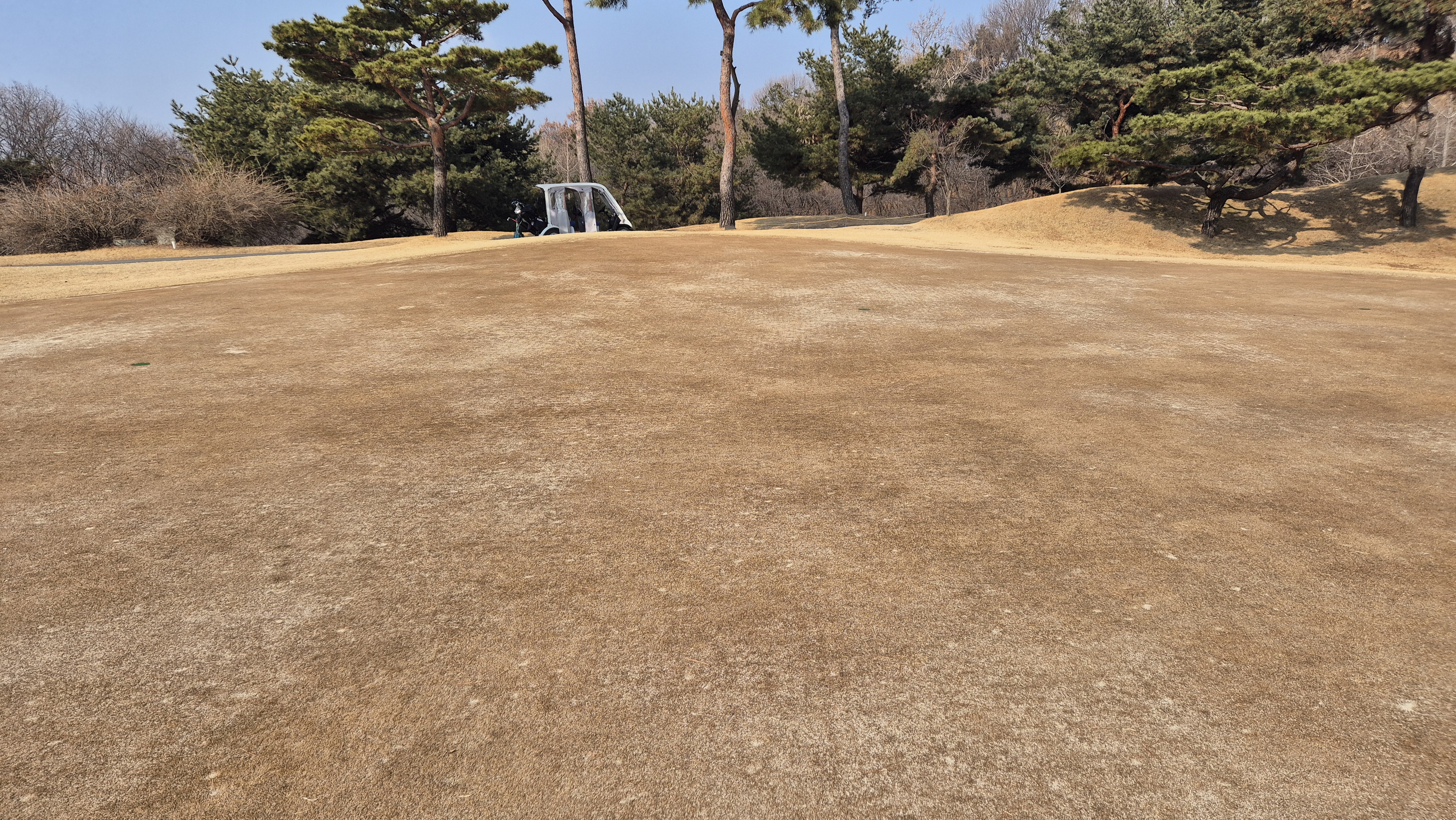 비에이비스타cc 호박-보나(퍼블릭) 코스 그린빠르기