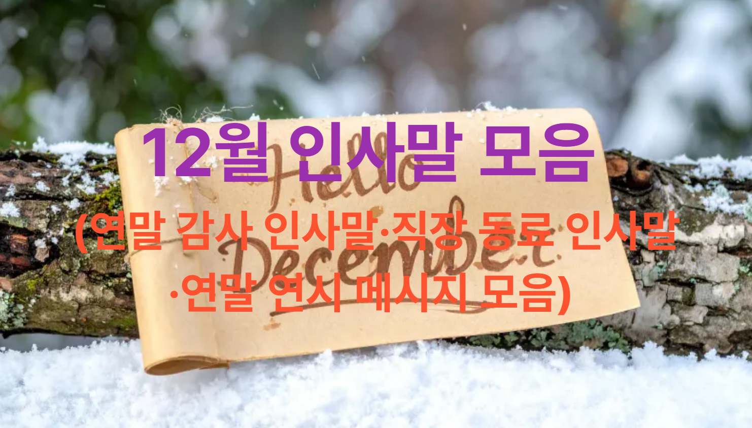 12월 인사말 모음 (연말 감사 인사말·직장 동료 인사말·연말 연시 메시지 모음)