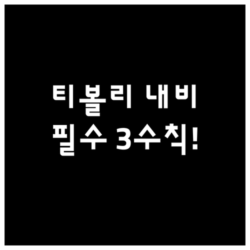 티볼리 내비게이션 업데이트 성공을 위..