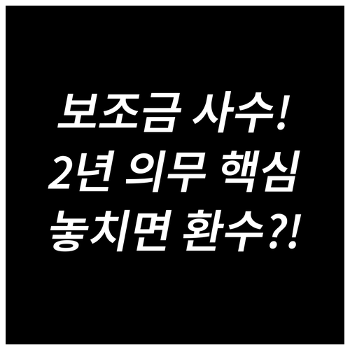 전기차 보조금 환수 피하는 2년 의무..