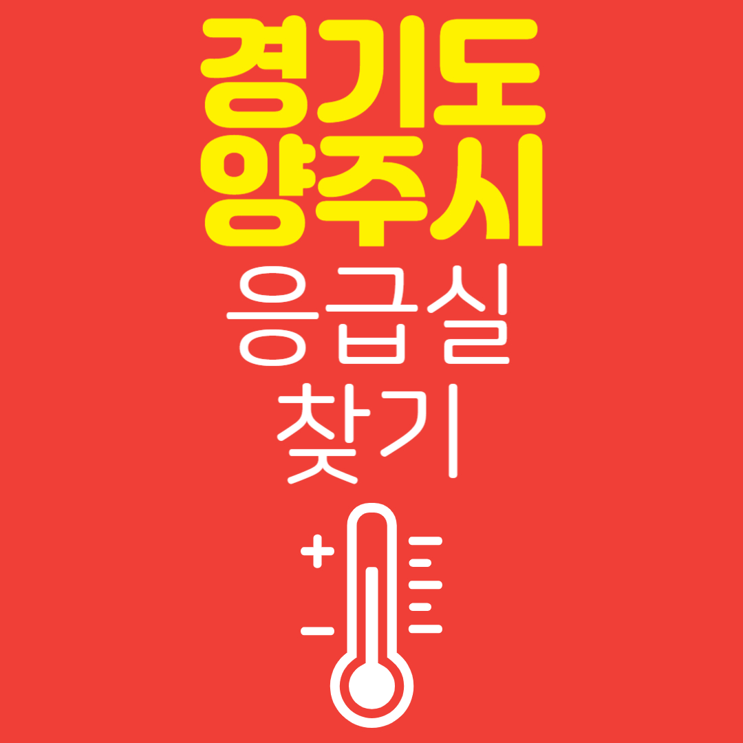 경기도 양주시 응급실 찾기