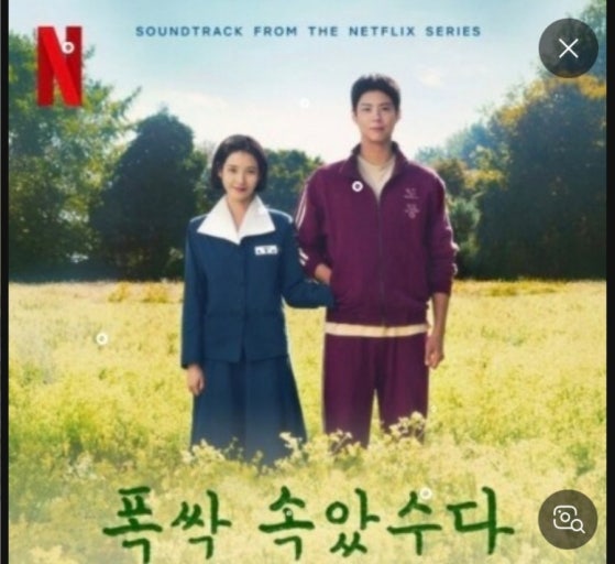 폭싹 속앗수다 촬영지 관련사진