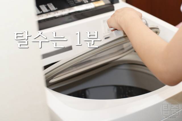 속커튼 세탁,속커튼세탁법,레이스커튼세탁,팁줌