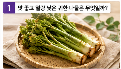 맛 좋고 열량 낮은 귀한 나물은 무엇일까?