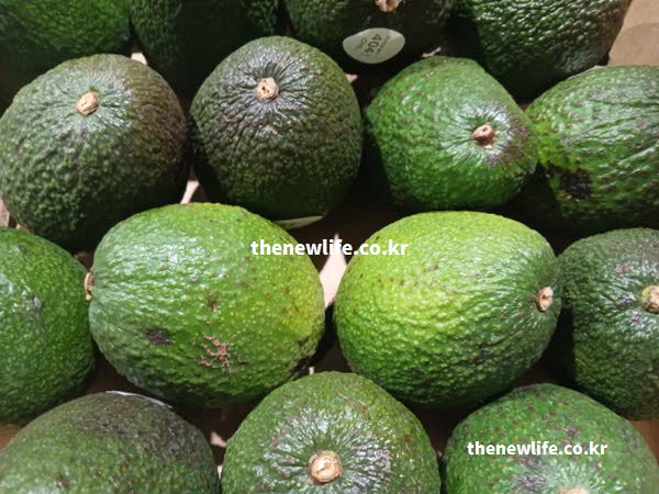 아보카도 효능의 핵심 성분인 올레산이 혈관 건강을 강화하고 혈중 지질 농도를 개선하는 모습을 보여주는 실사진