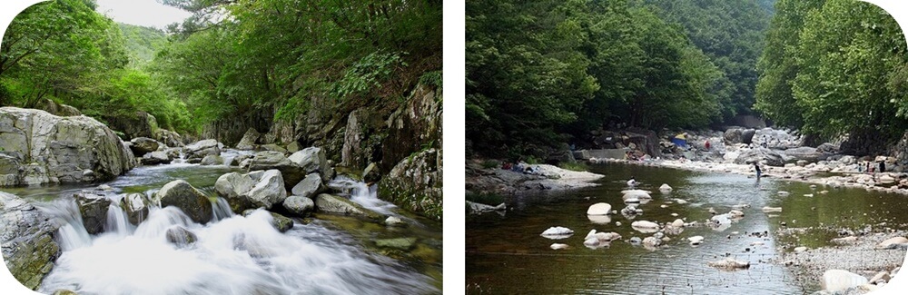 양산-내원사-계곡-숲-맑은-물-흐름