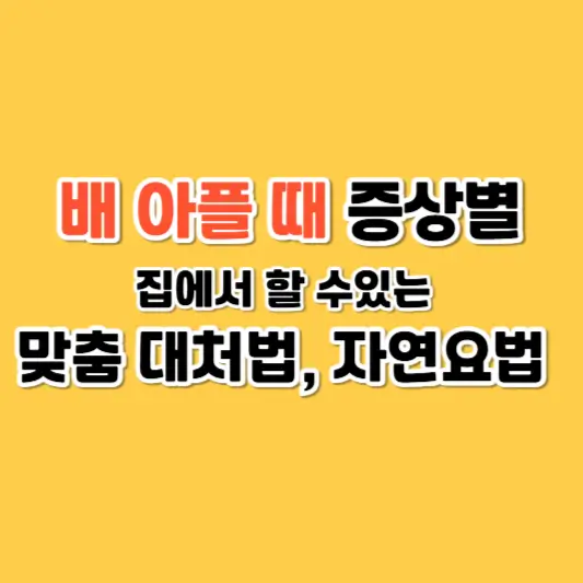 배 아플 때 증상별 맞춤 대처법과 자연요법