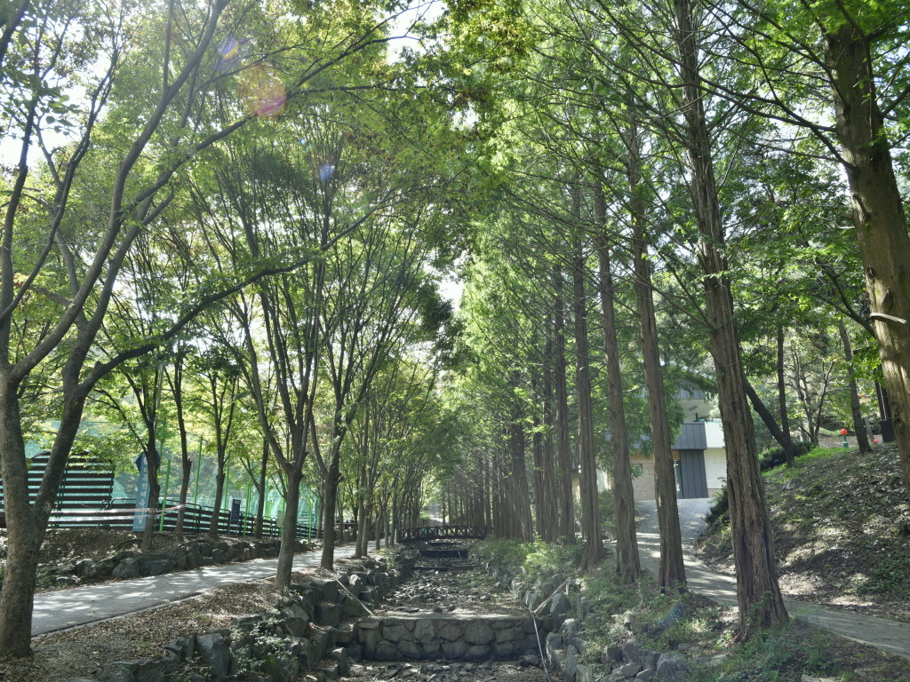 칠갑산 자연휴양림