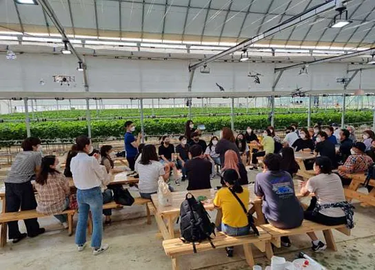 별마을딸기체험농장