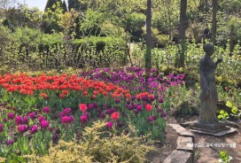 태안 추천 관광지 베스트10 관련 사진