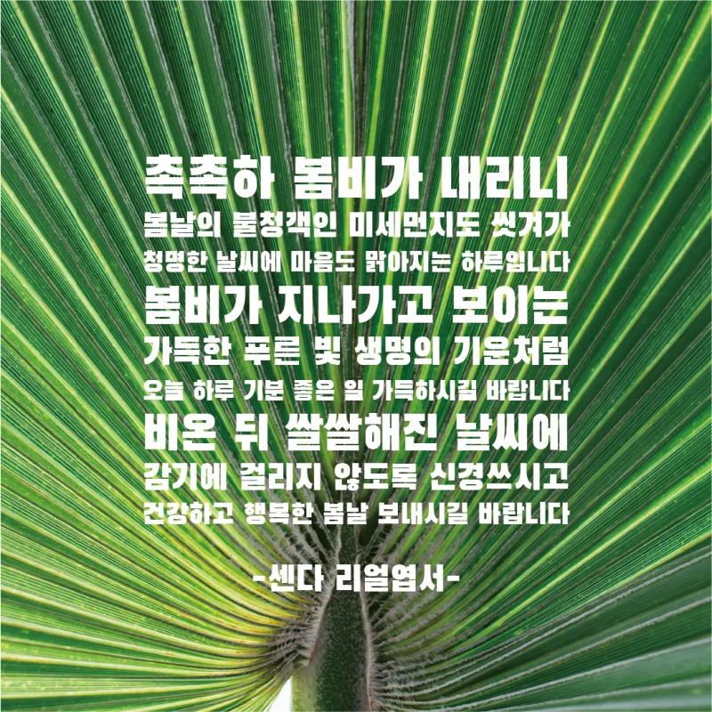 봄비 인사말 이미지 비오는날 일러스트_1