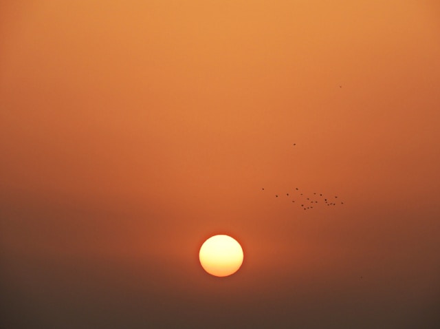 KTX 강릉선 해돋이 열차 예매 성공 꿀팁