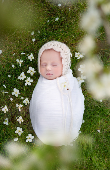 유아 동반 벚꽃 여행 사진