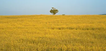 고창 맛집 베스트10 숨겨진 나만 아는 맛집_11