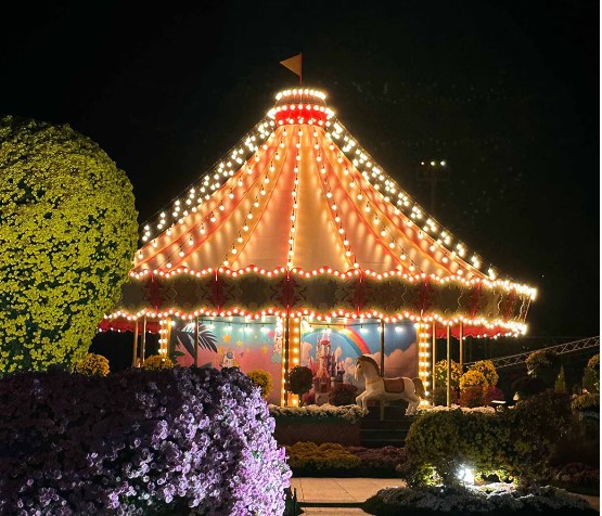 빛나는 회전목마