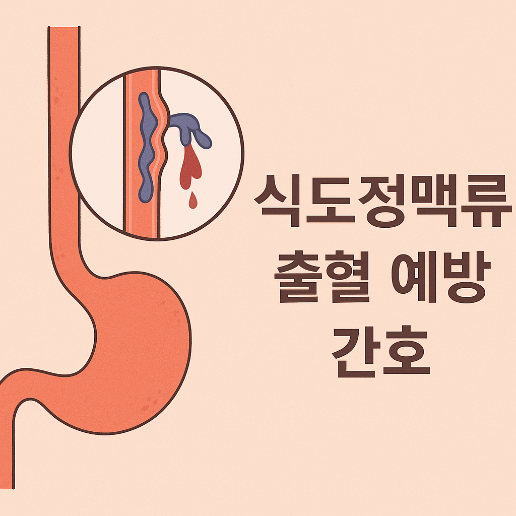 식도정맥류 출혈 예방 간호 총정리