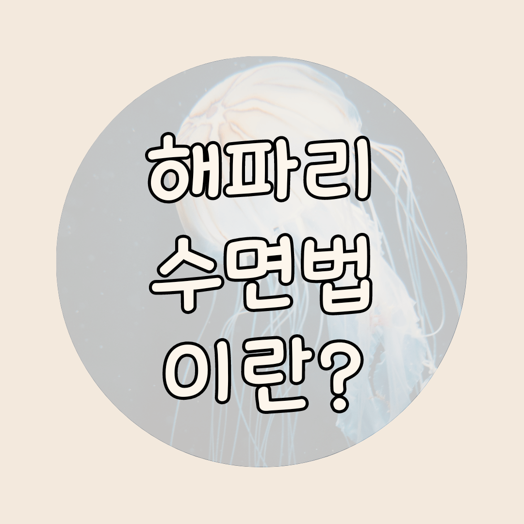 해파리 수면법