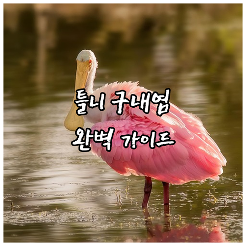 틀니 구내염? 증상과 관리법 완벽 가