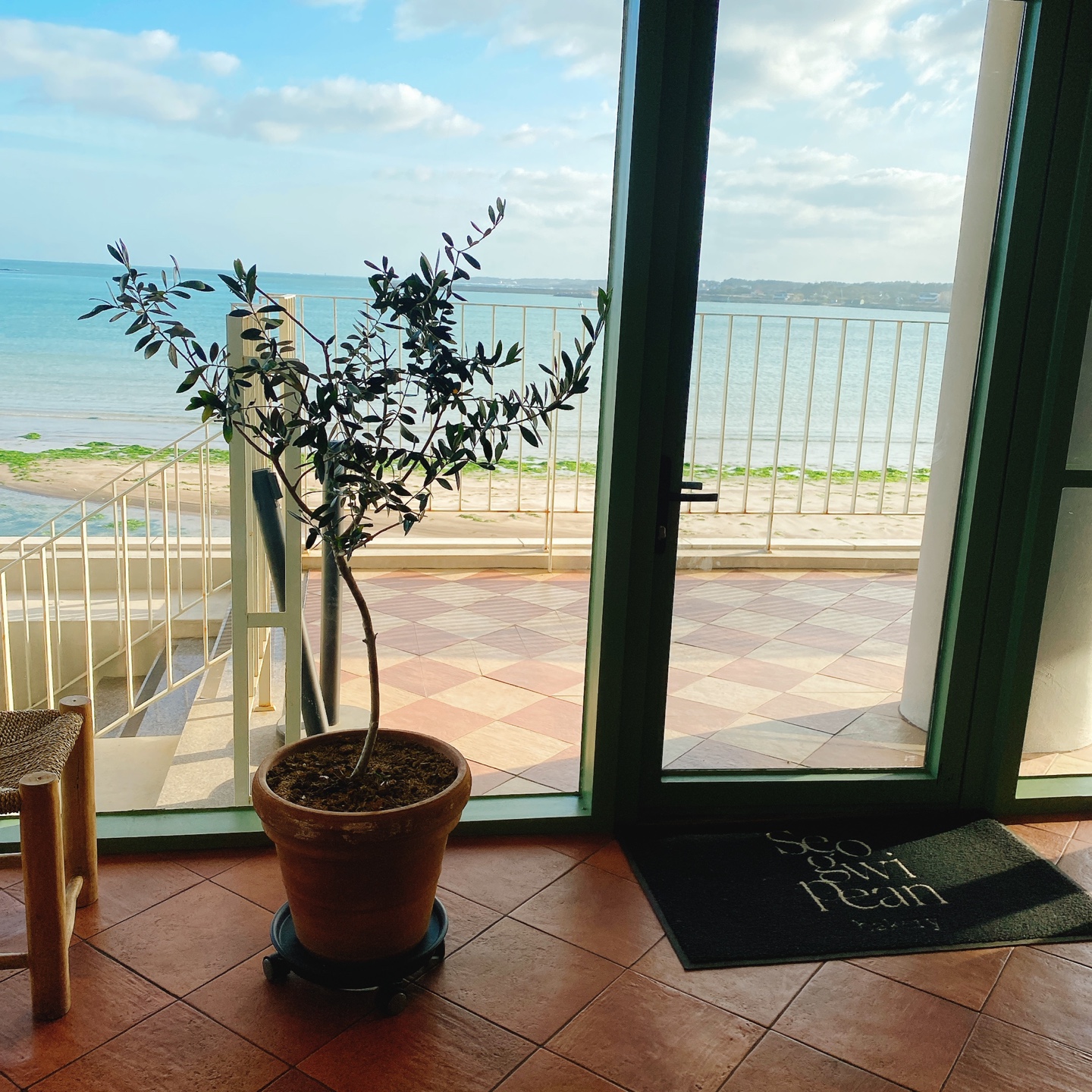 제주 성산 섭지코지 아쿠아플라넷 서귀피안 베이커리 카페