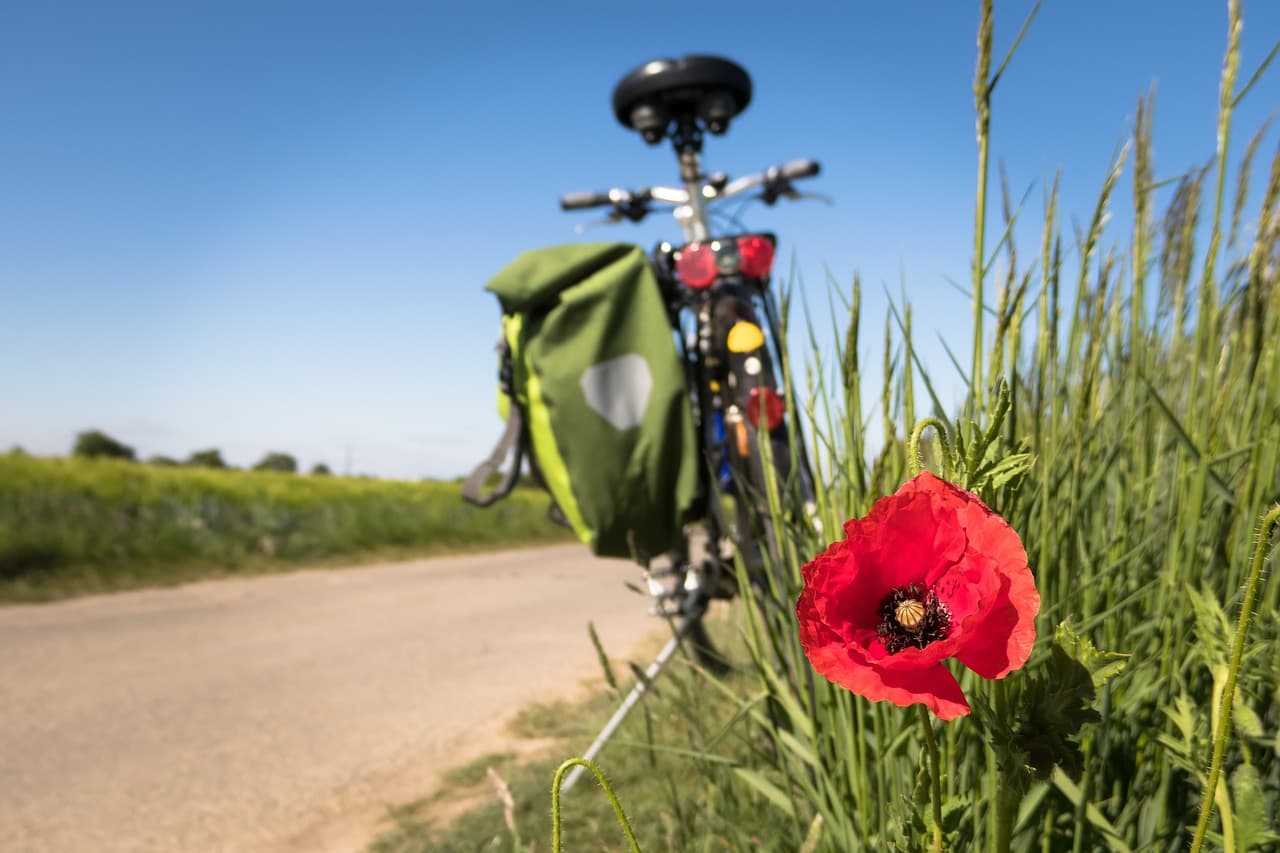 자전거 캠핑 (Bikepacking) : 새로운 자유를 찾아 떠나는 모험