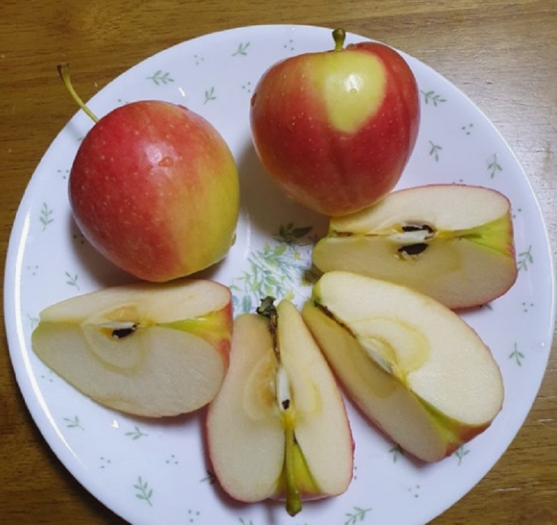 사노라면-경산-사과-루비에스사과