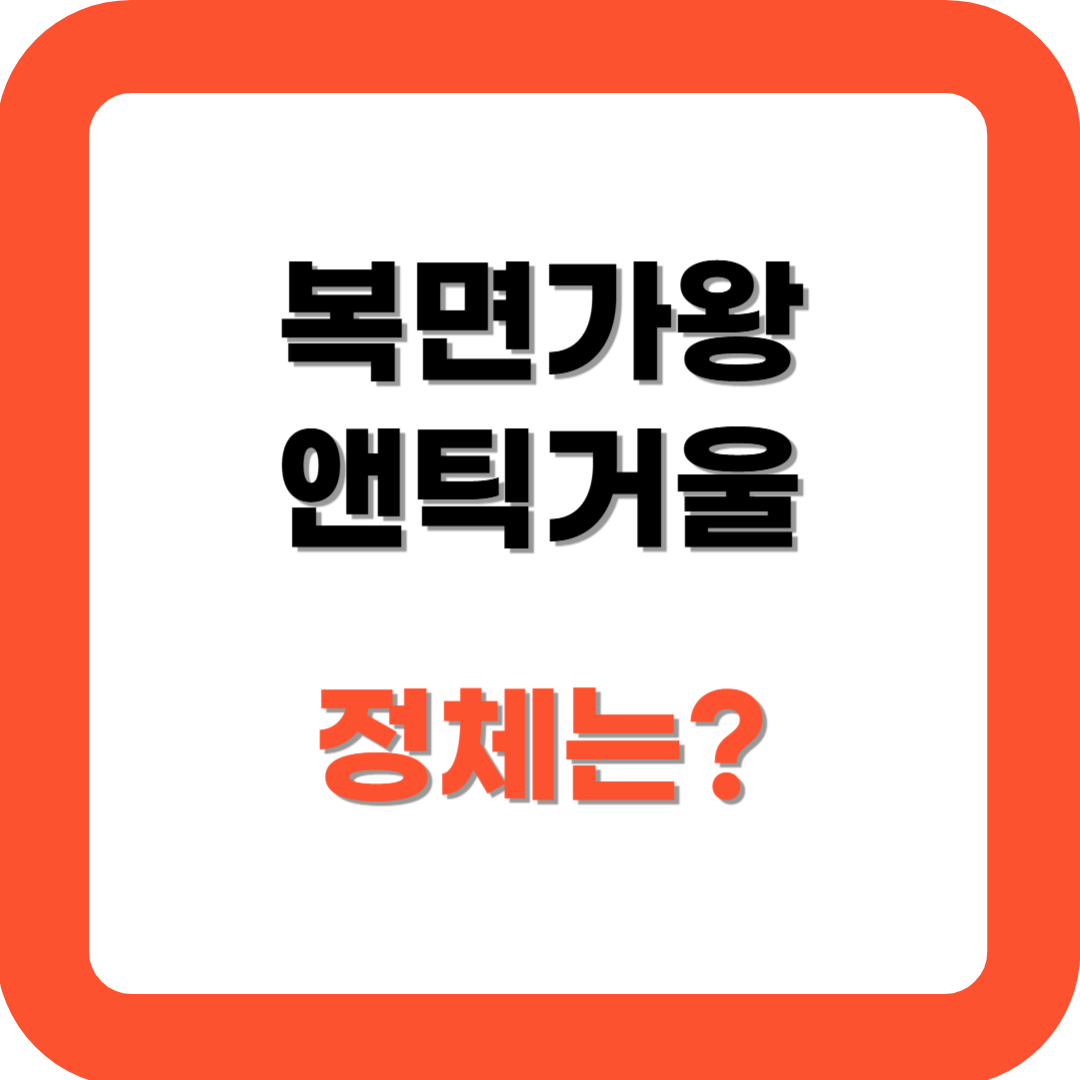 복면가왕 앤틱거울 정체