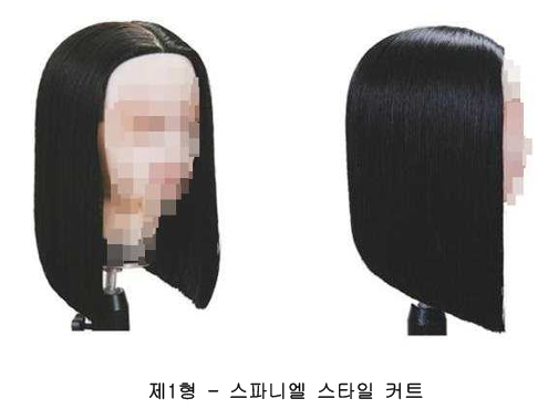 스파니엘