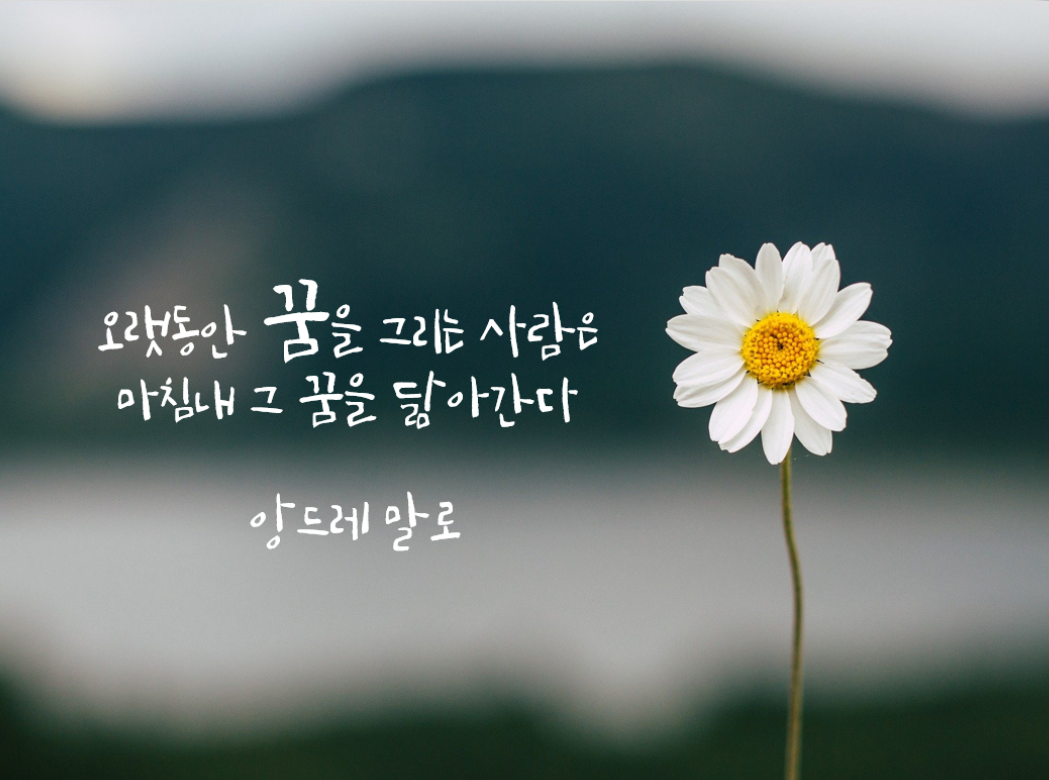 한줄 명언 모음