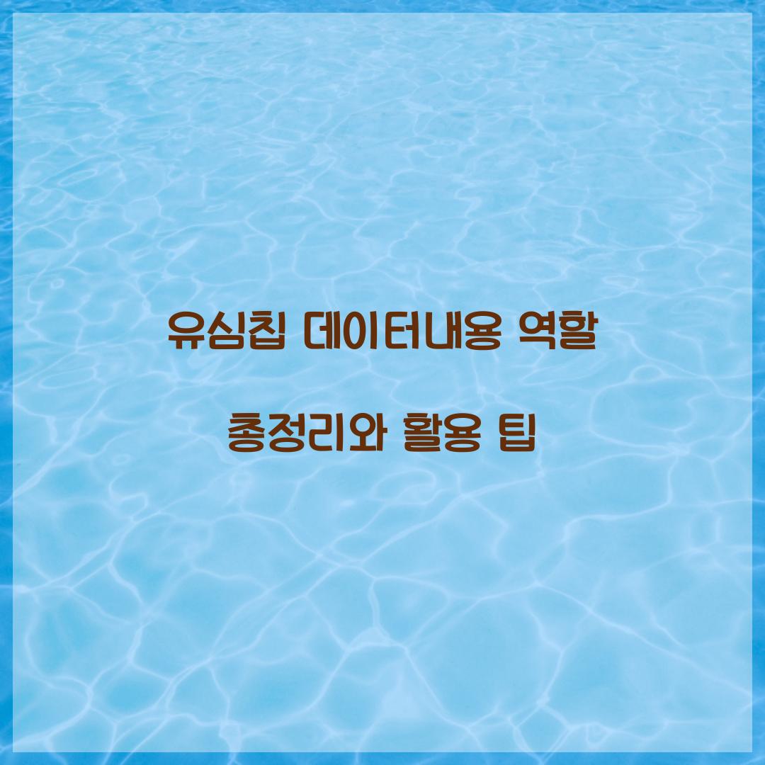 유심칩 데이터내용 역할