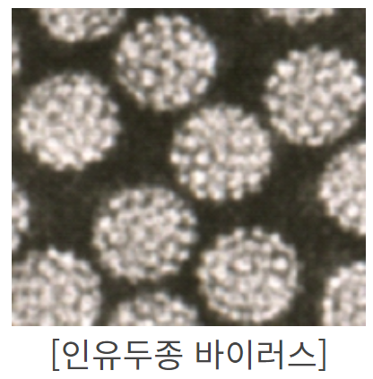 자궁경부암 예방접종 무료접종 신청하기