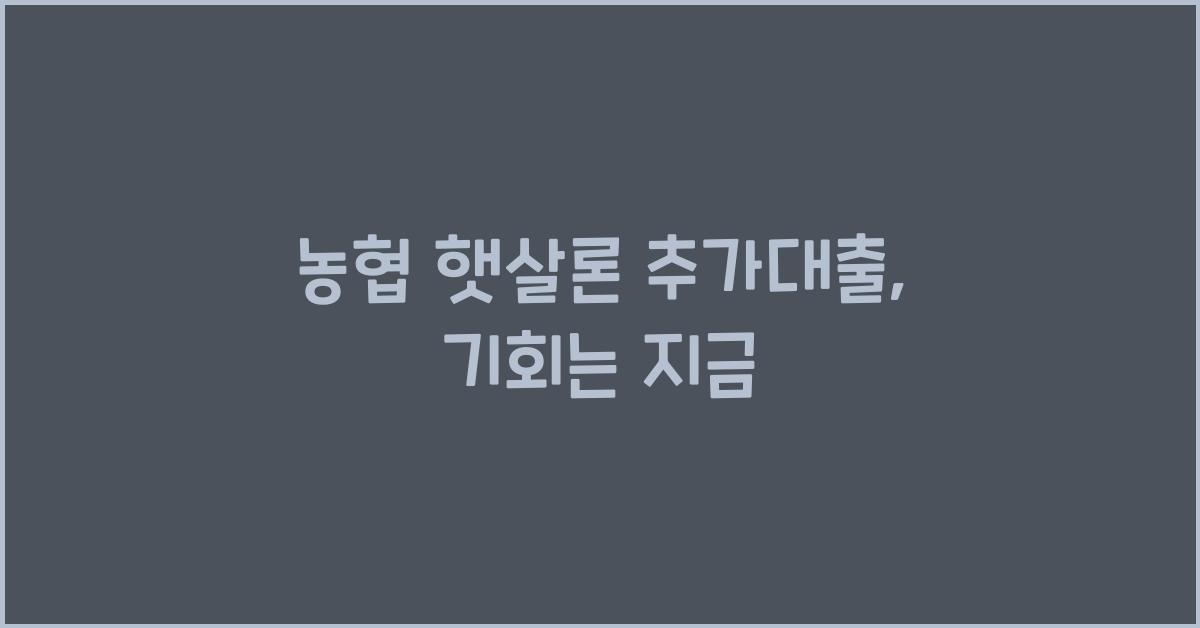 농협 햇살론 추가대출