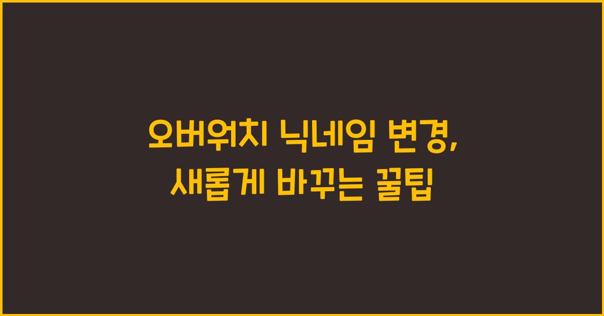 오버워치 닉네임 변경