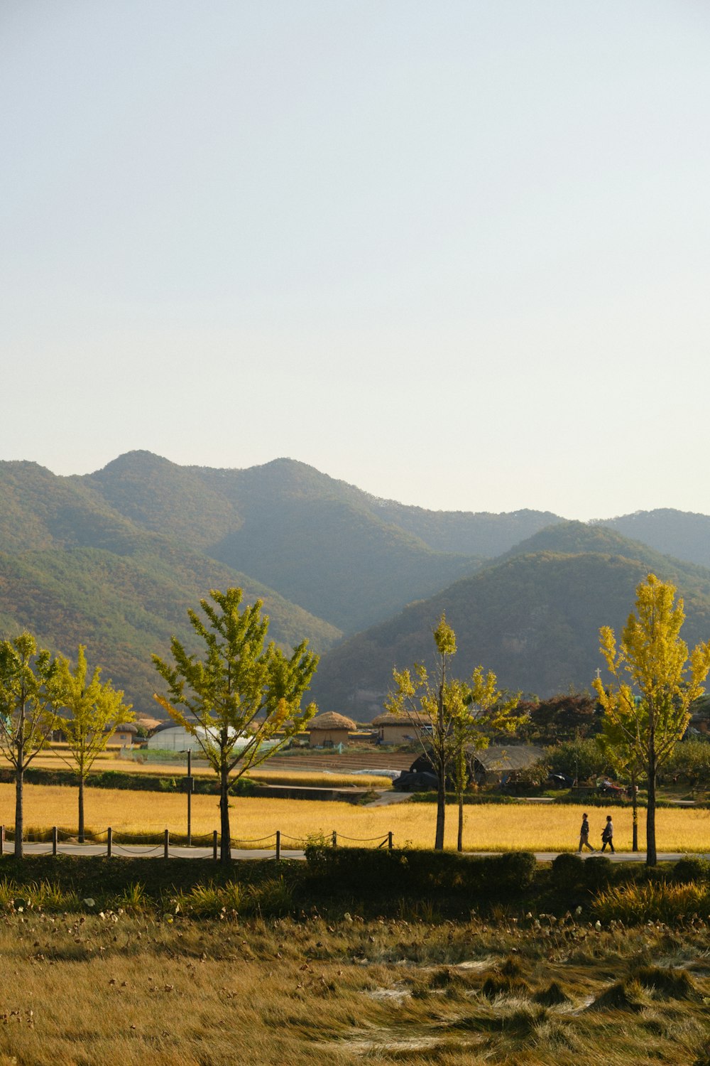 그린벨트 관련 이미지