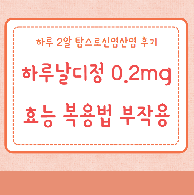 하루날디정 0.2mg 효능 복용법 부작용 후기