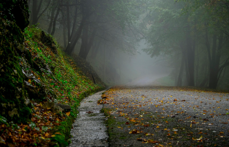 단순함을 통한 행복