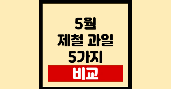 5월-제철-과일