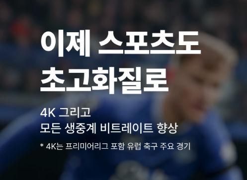 스포츠패스 혜택