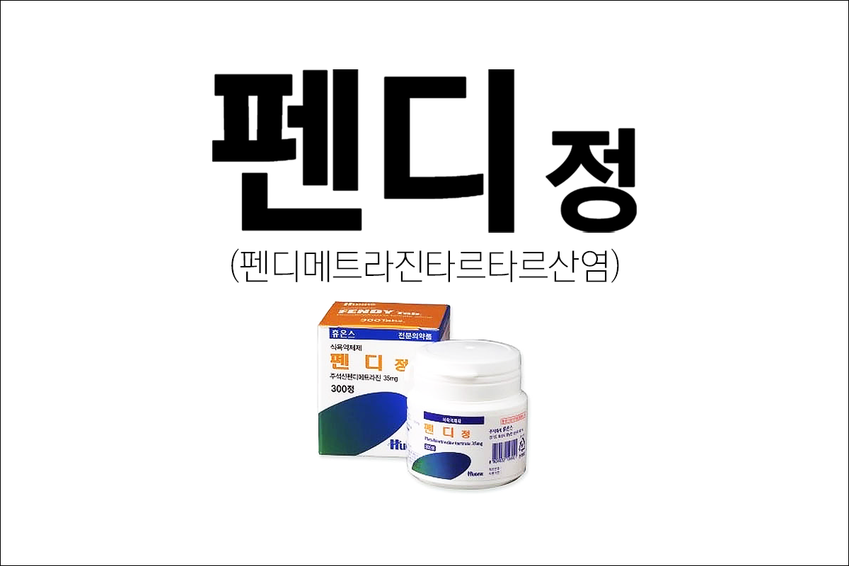 펜디정(Fendy Tab.)