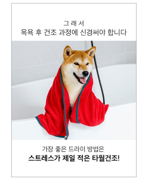 목욕 후 건조과정