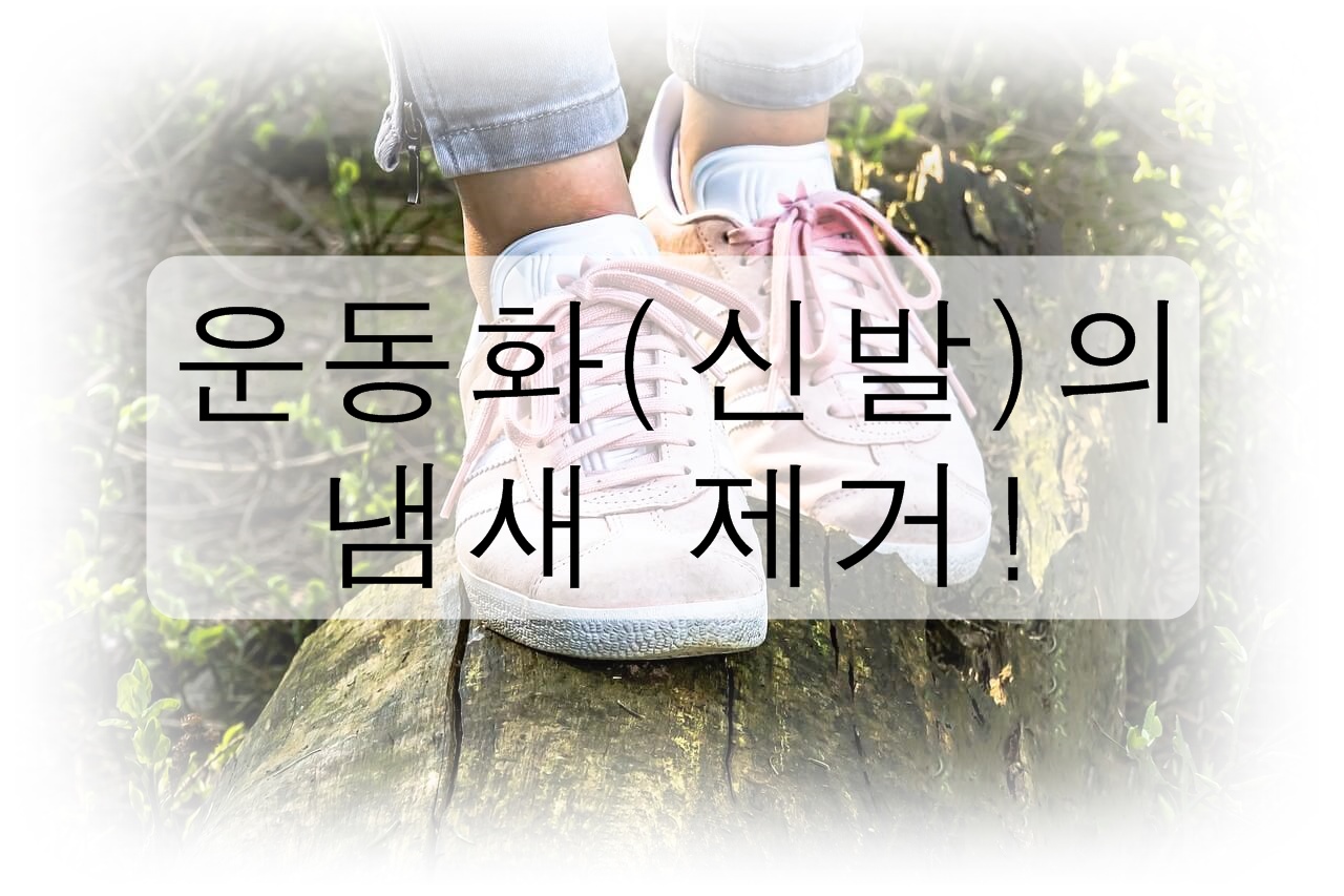 운동화(신발)의 냄새를 제거해보자!