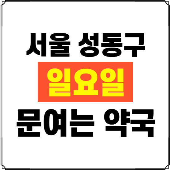 서울 성동구 일요일 약국 ❘ 24시 휴일 주말 문여는 비상 당직 약국