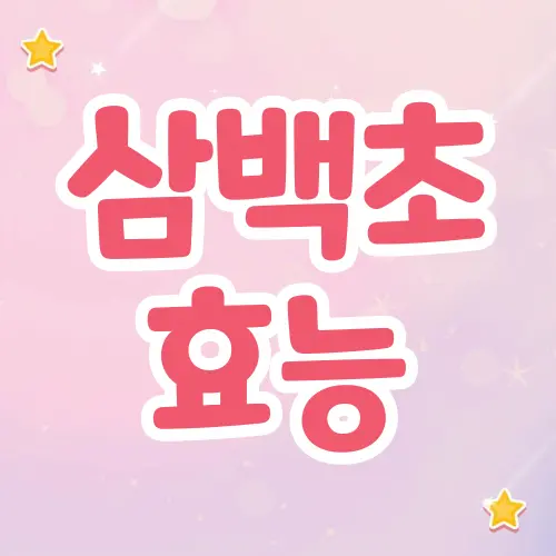 삼백초 효능