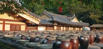 용인 민속촌 입장료 혜택 할인_4