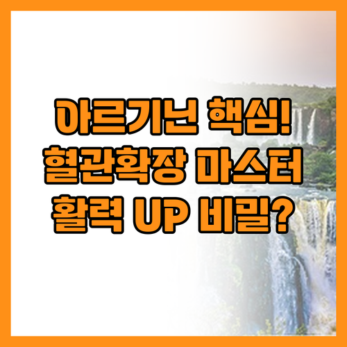 L-아르기닌 혈관 확장 마스터피스 활..