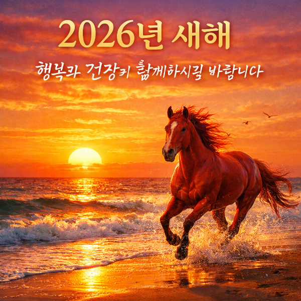 병오년 새해